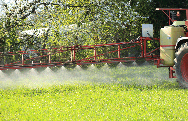 What's The Big Deal With Roundup? Here's Why Glyphosate Is So Dangerou ...