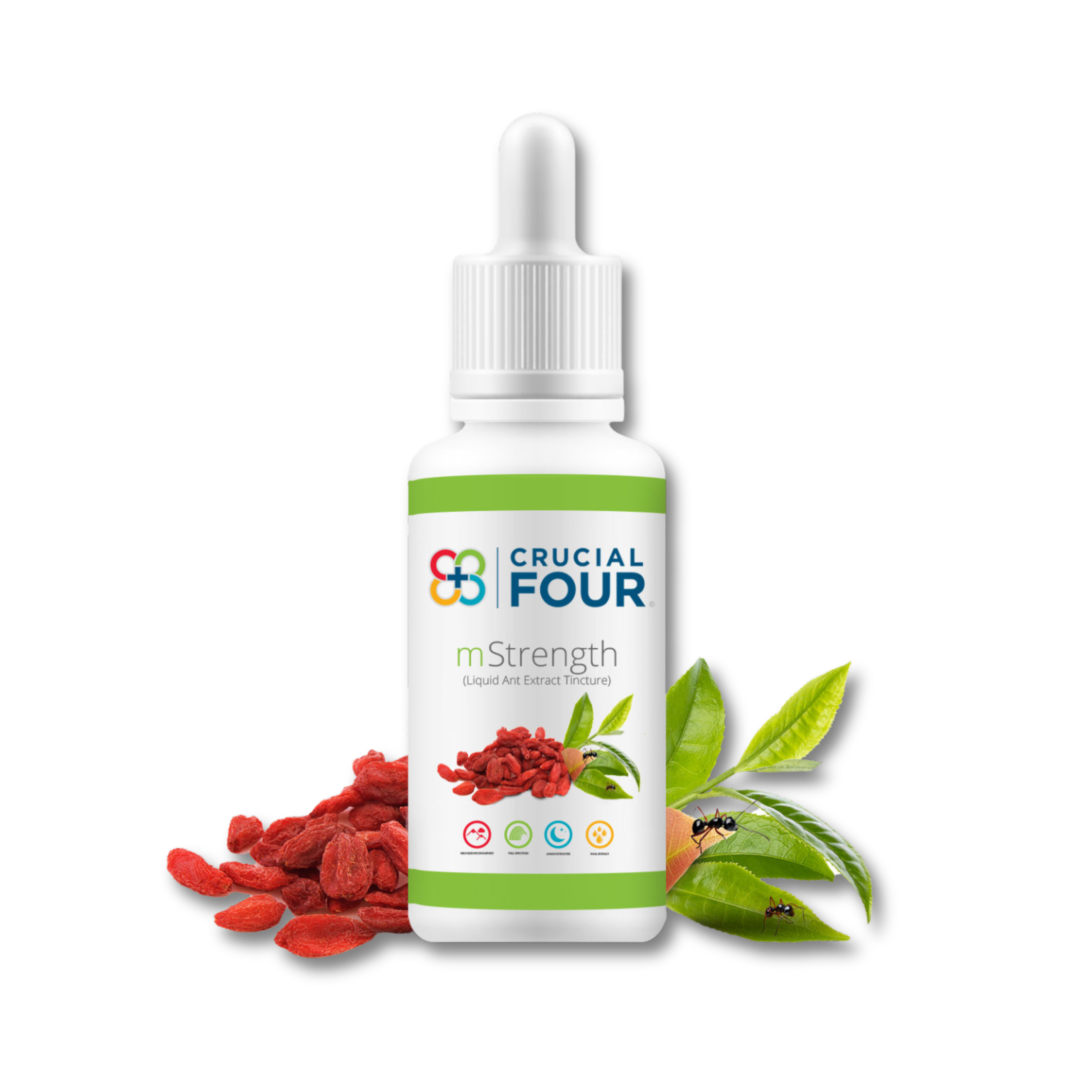 29_4a12d95f-01c3-4319-86f0-