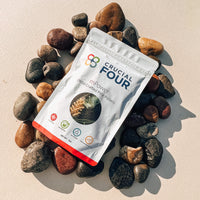 mPower | Wild Harvested Pine Pollen Powder