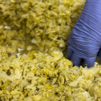 Organic Electroculture Grown Sauerkraut