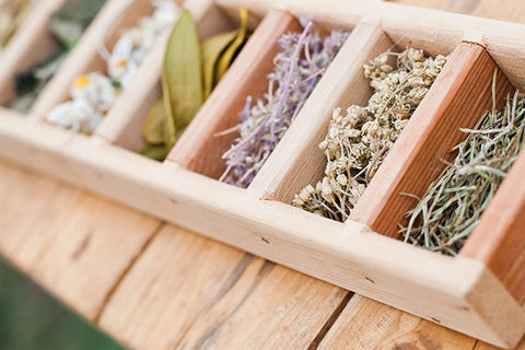 8-adaptogen-herbs-of-immortality
