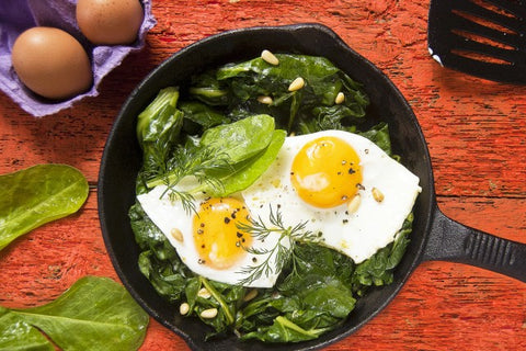 Why Breakfast is the Most Important Meal of the Day