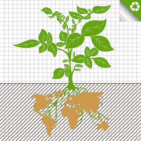 Regenerative-Agriculture-Working-To-Protect-The-Environment-And-Our-Future-Food-Supply