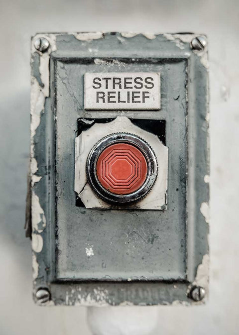 Regulate-Stress-With-Adaptogens