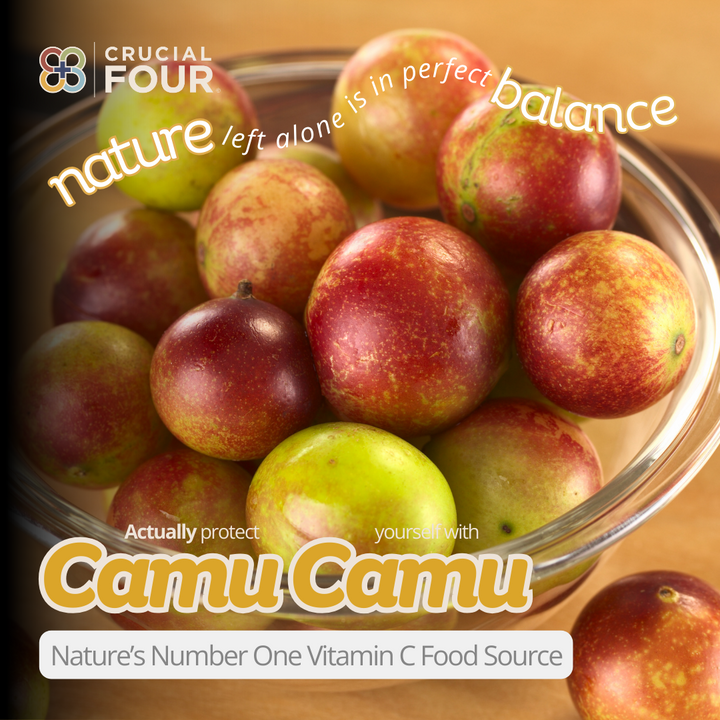 Boost Your Immunity This Flu Season with Nature’s Super Vitamin: Camu Camu