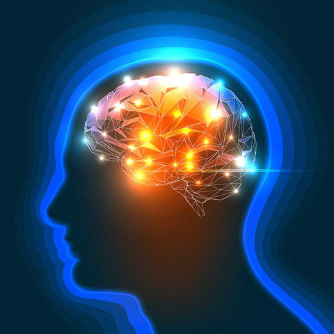 Why-Natural-Smart-Drugs-Work-Understanding-The-Science-Behind-Nootropics