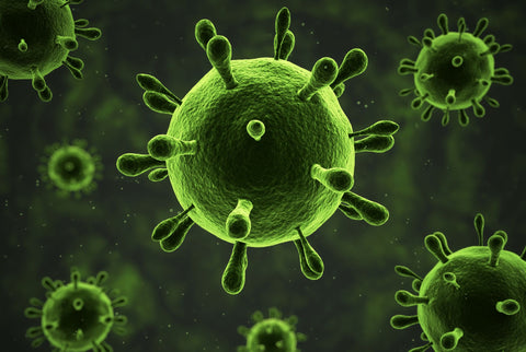 Gut Cleaning 101: How To Kill Nasty Bacteria and Detox Your Body