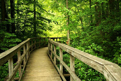 biohacking-nature-you-heath