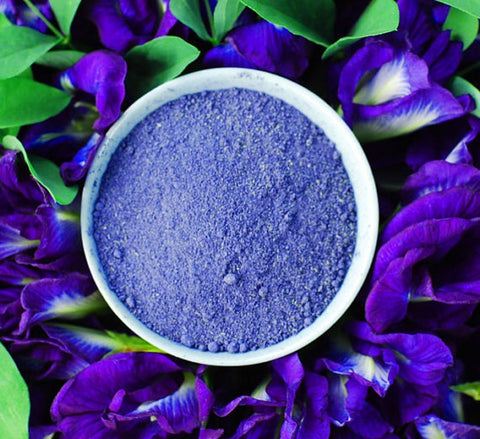 Blue Butterfly Nootropic Effects & Health Benefits