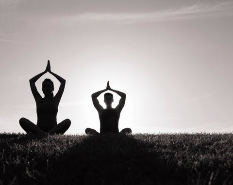 My thoughts on Holy Basil, Stress Support and Health