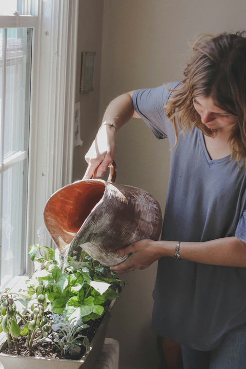 How to Grow Herbs Indoors During Winter