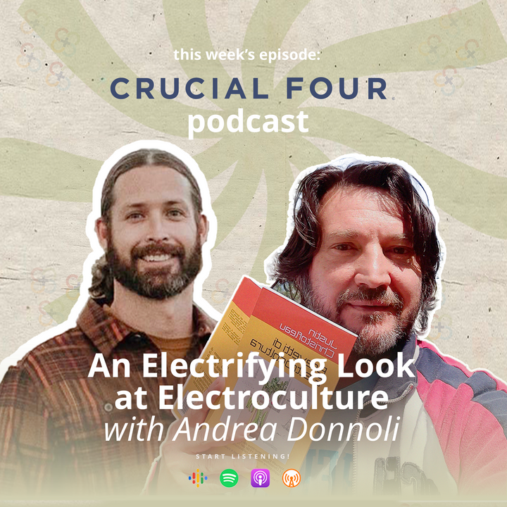 An Electrifying look at Electroculture with Andrea Donnoli
