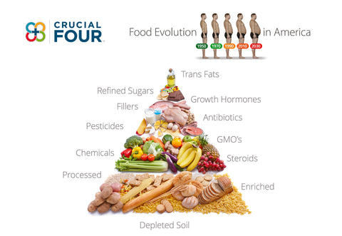 Why Our Food System is Broken