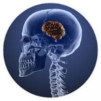 Your brain could be shrinking! And what to do about it!