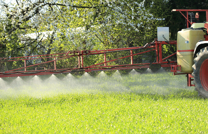 what-is-the-big-deal-with-roundup-and-Glyphosate-danger