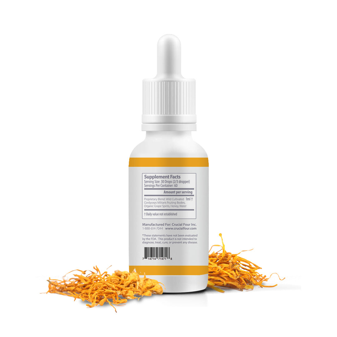 mEnergizer | Cordyceps Militaris Fruiting Bodies Tincture