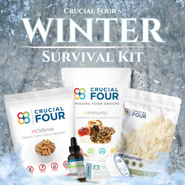 The Winter Survival Kit