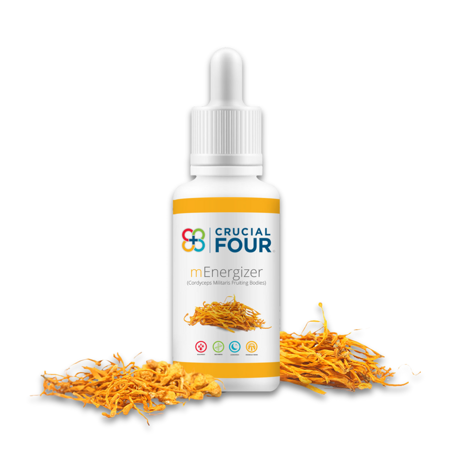 mEnergizer | Cordyceps Militaris Fruiting Bodies Tincture