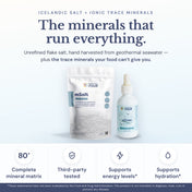 Foundation Bundle