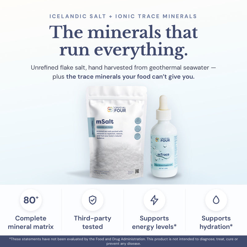 Foundation Bundle