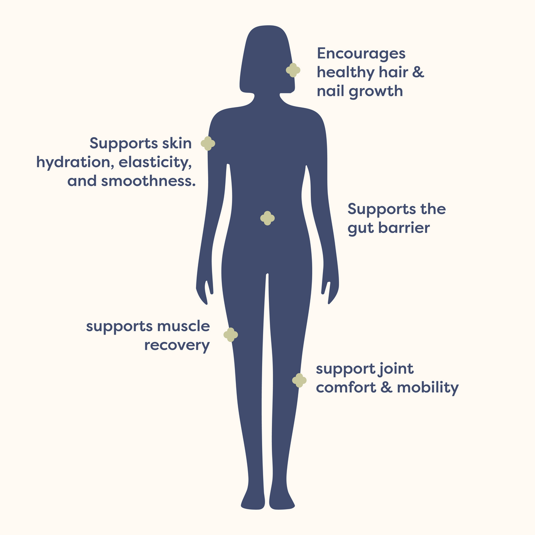 mCollagen | Grass-Fed Collagen Peptides