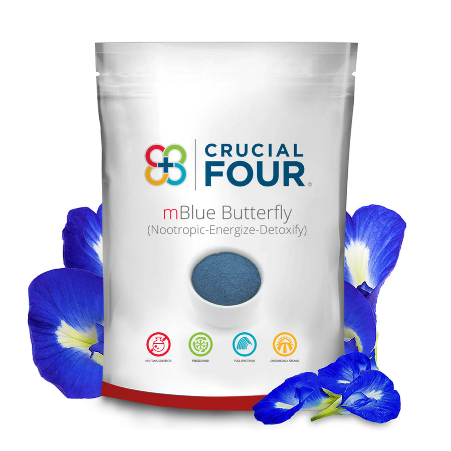 mBlue Butterfly